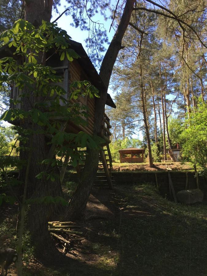 Domek Z Bali Tryszczyn Nad Brda Εξωτερικό φωτογραφία